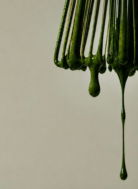 Premium Chinese tea for cafés, tea shops & retailers