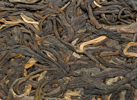 Tea Forest Project Wild Assamica SHENG PUER tea (batch 11.2022, limited edition)