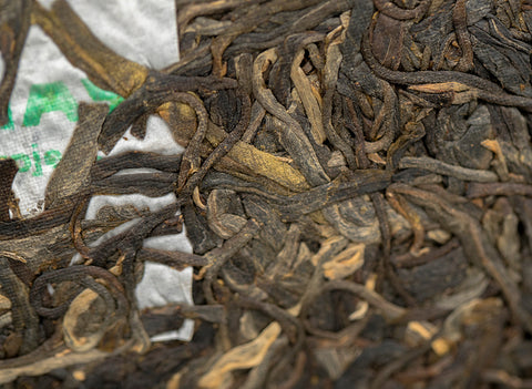 Tea Forest Project Wild Assamica SHENG PUER tea (batch 11.2022, limited edition)