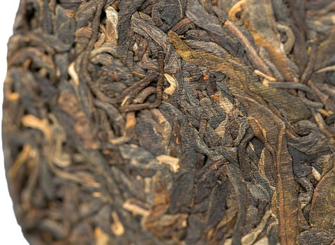 Tea Forest Project Wild Assamica SHENG PUER tea (batch 11.2022, limited edition)