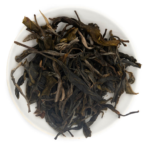 Ancient Tree Raw Puer Tea from Jingmai Mountain (Jingmai Gushu Sheng Cha), March 2025