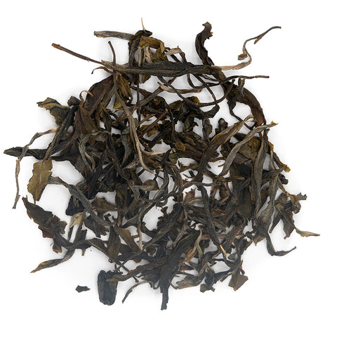Ancient Tree Raw Puer Tea from Jingmai Mountain (Jingmai Gushu Sheng Cha), March 2025