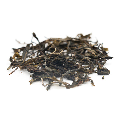 Ancient Tree Raw Puer Tea from Jingmai Mountain (Jingmai Gushu Sheng Cha), March 2025