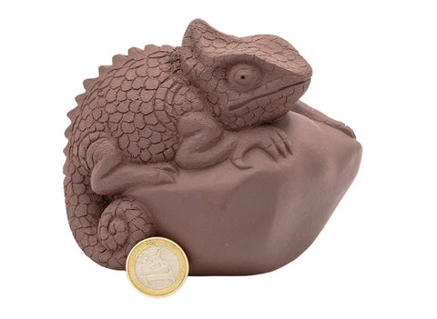 Lizard # 91366