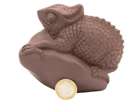 Lizard # 91366