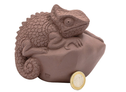 Lizard # 91366