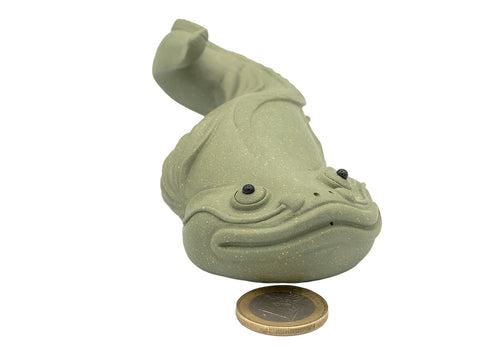 Catfish # 91370