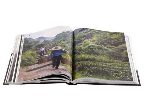 "Geography of Chinese tea". Sergey Shevelev (English edition)