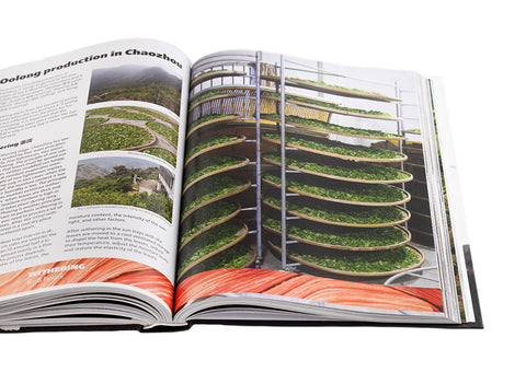 "Geography of Chinese tea". Sergey Shevelev (English edition)