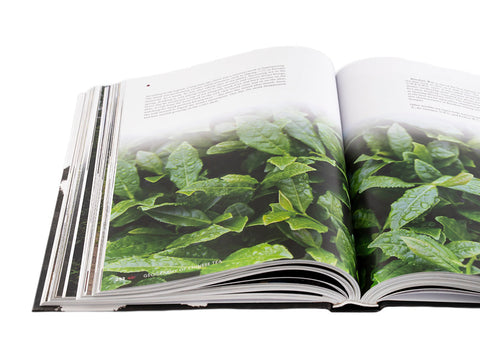 "Geography of Chinese tea". Sergey Shevelev (English edition)