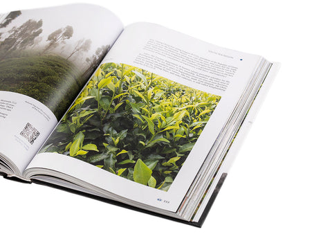 "Geography of Chinese tea". Sergey Shevelev (English edition)