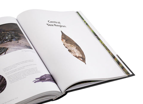 "Geography of Chinese tea". Sergey Shevelev (English edition)