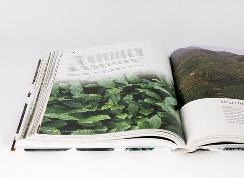 "Geography of Chinese tea" Sergey Shevelev (edition in Russian)