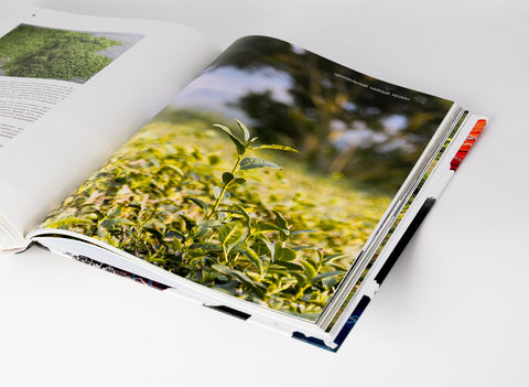 "Geography of Chinese tea" Sergey Shevelev (edition in Russian)