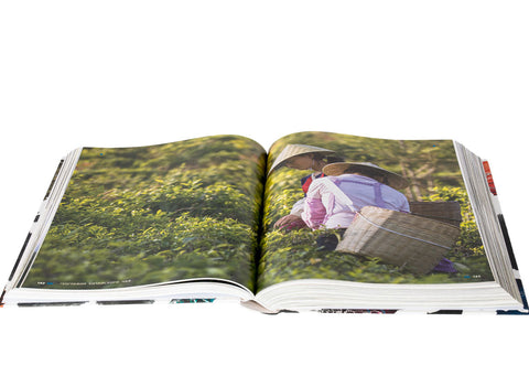 "Geography of Chinese tea" Sergey Shevelev (edition in Russian)