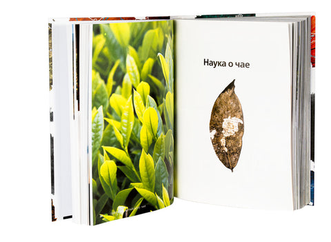 "Geography of Chinese tea" Sergey Shevelev (edition in Russian)