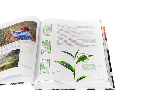 "Geography of Chinese tea" Sergey Shevelev (edition in Russian)