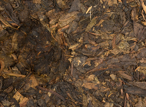 Ye Sheng Da Ye Bing N1 (hand pressed in 2003), 340 g
